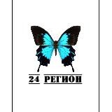 Бабочки Красноярского края🔞