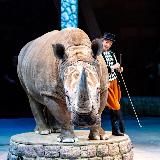 Этот Мир-Ок! 🌎🦏🐅🐎🙃