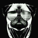 👑MOPSSHOP👑всё как есть