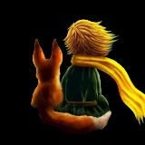 InstaFox🦊 PNG СТИКЕРЫ