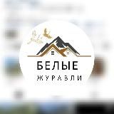 belie_juravli 🕊️🕊️🕊️