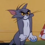 Акульи посиделки Chat