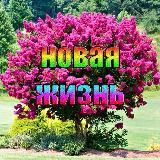 Новая Жизнь
