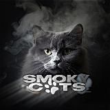 𝐒𝐦𝐨𝐤𝐲.𝐜𝐚𝐭𝐬🐾