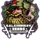 Kalashnikov Seeds Отзывы