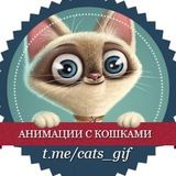 Cats.Gif 🐱 Склад гифок с котами