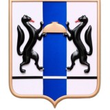 Коронавирус. Новосибирск