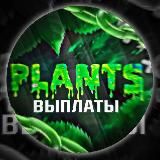☘️Plants - выплаты☘️