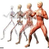 ❗ЛФК ФИТНЕС ДИЕТОЛОГИЯ РЕАБИЛИТАЦИЯ МАНУАЛЬНАЯ ТЕРАПИЯ БИОХИМИЯ