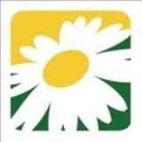 Спортивный Клуб "Ромашково"