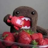 ОТВЕТЫ ОГЭ 2025