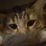 BE/ИNЕ7'S D0P4MIN3