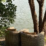 Doctor Safiya 🛋️