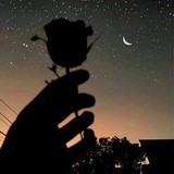 Løve me at least ønce