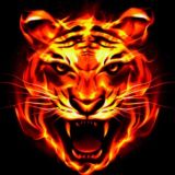 P2P ПОДАРОК🇹🇯