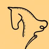 𝐡𝐡𝐨𝐫𝐬𝐢𝐧𝐠 𝐬𝐡𝐨𝐩