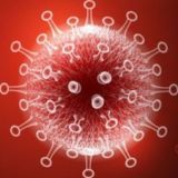 CVD Санкт-Петербург, ЛО