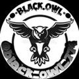 CHAT Black Owl и Falcon174