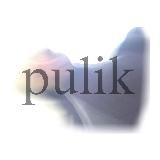Пулик