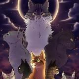 ~ 🌊 Палатка Невидимой Звезды 🌊 ~