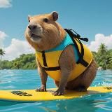 🌎Глобус - путешествия, туризм, миграция