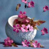 КЕШБЕК ТОВАР Chat