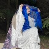 некорица вещает