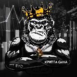 Крипта сила | fit_evo🤙