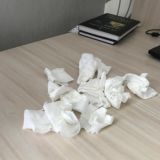 Чат Алисы-Виктории