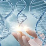 КНЯЗЕВА BIOHEALING
