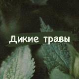 «Дикие травы»