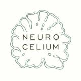 Neurocelium. Ежовик Гребенчатый 🌿