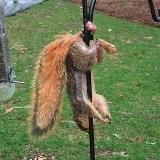 #Хроники_ебанария