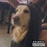 kelevra1408 (Ремонт видеокарт)