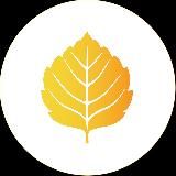 РСМ | Липецкая область