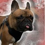 🥐𝐂𝐑𝐎𝐈𝐒𝐒𝐀𝐍𝐓(𝔍𝖊𝖘𝖘𝖎𝖊)