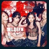 𝑺𝑬𝑳𝑸𝑬𝑬𝑵 / 𝘧𝘭𝘺𝘬×𝘪𝘴𝘴