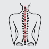 Стоп сутулость и сколиоз. Советы экспертов👨🏼⚕️