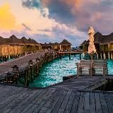 🏝 Rich Music 🎶