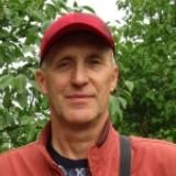 Рододендроны в Подмосковье