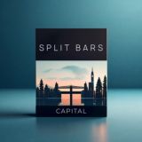 SPLIT BARS CAPITAL • Инвестиции