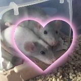 MÁJA,yes 🦴❤️🩹