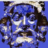 C a s u s . B r u x e l l i s