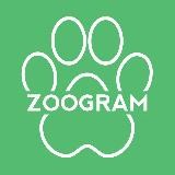 ZOOGRAM