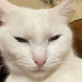 Soso Mid by Imaniti Cecilion s knigoi and Zeeleru Yin v tanka