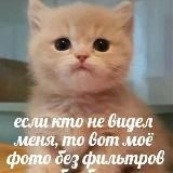 Будни укротителя камер