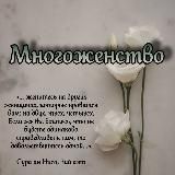 ・︎・︎ Многоженство ・︎・︎