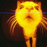 Зловещая душа трикстера