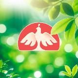 Традиции Вкуса | Яснокрасно