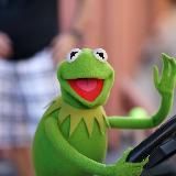 Архив Питерского Торча